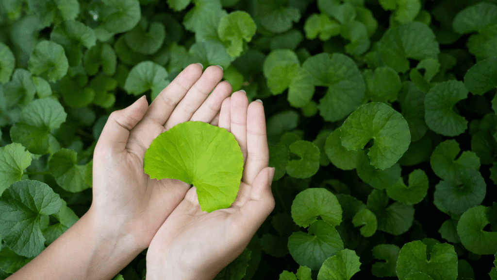 Ayurvedic treatment for Arthritis